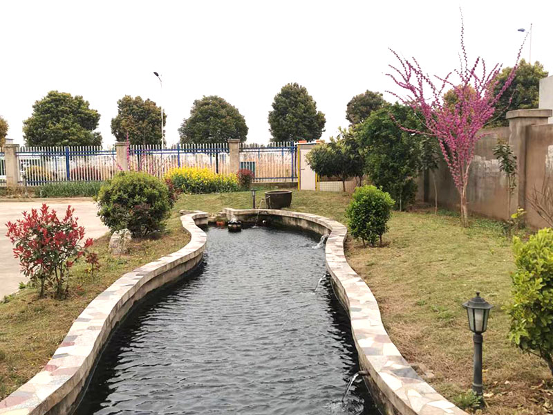  Koi Fish Pond